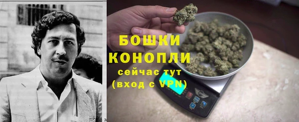 эйфоретик Иннополис