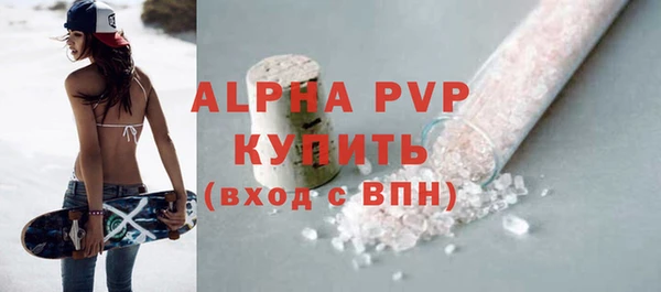 сатива Инсар