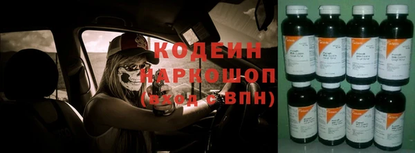 тгк Инта