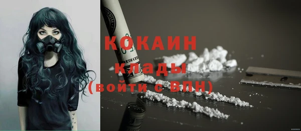 тгк Инта