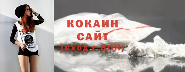 тгк Инта