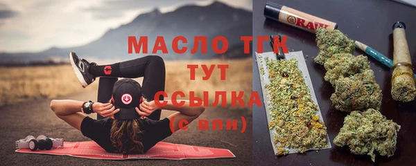 тгк Инта
