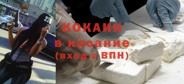 сатива Инсар